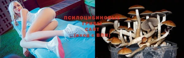 марки lsd Алексеевка